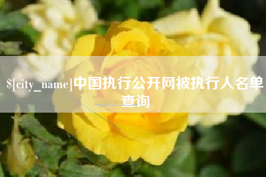庄河中国执行公开网被执行人名单查询