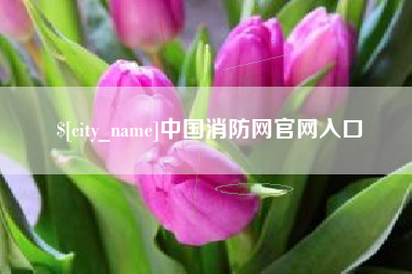 庄河中国消防网官网入口