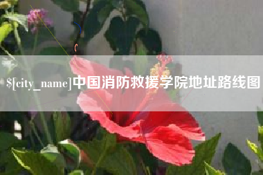庄河中国消防救援学院地址路线图