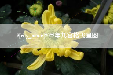 庄河2022年九宫格飞星图