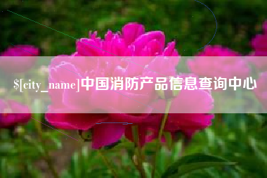 庄河中国消防产品信息查询中心