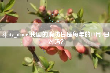 庄河我国的消防日是每年的11月9日对吗？