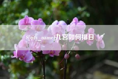 庄河九宫如何排日