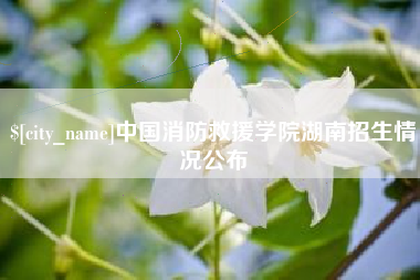庄河中国消防救援学院湖南招生情况公布