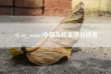庄河中国九枚金牌分别是