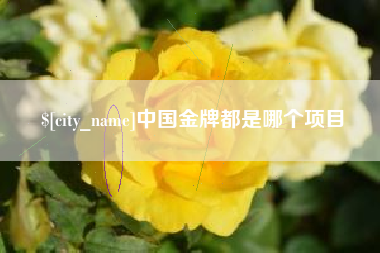 庄河中国金牌都是哪个项目