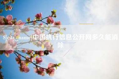 庄河中国执行信息公开网多久能消除