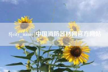 庄河中国消防器材网官方网站