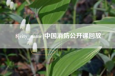 庄河中国消防公开课回放