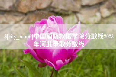 庄河中国消防救援学院分数线2023年河北录取分数线