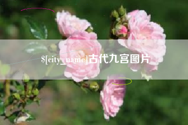 庄河古代九宫图片
