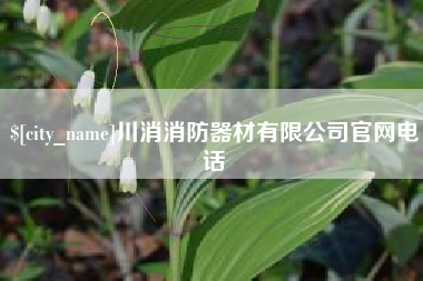 庄河川消消防器材有限公司官网电话