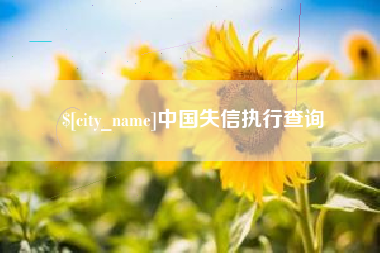 庄河中国失信执行查询