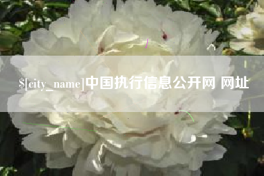 庄河中国执行信息公开网 网址