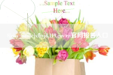 庄河xfhyjd.119.gov cn官网报名入口