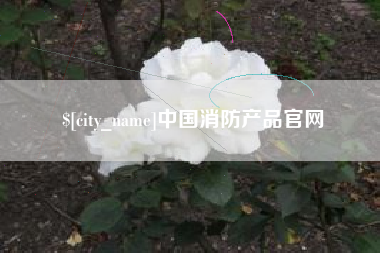 庄河中国消防产品官网