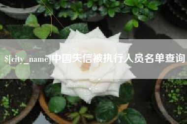 庄河中国失信被执行人员名单查询
