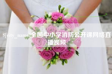 庄河全国中小学消防公开课网络直播视频