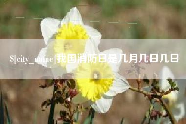 庄河我国消防日是几月几日几日
