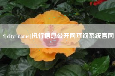 庄河执行信息公开网查询系统官网