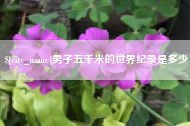 庄河男子五千米的世界纪录是多少