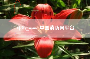 庄河中国消防网平台