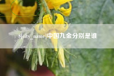 庄河中国九金分别是谁