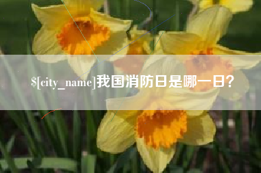 庄河我国消防日是哪一日？