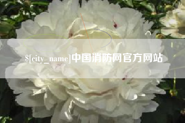 庄河中国消防网官方网站