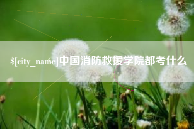 庄河中国消防救援学院都考什么