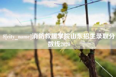 庄河消防救援学院山东招生录取分数线2020