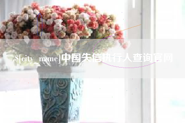 庄河中国失信执行人查询官网