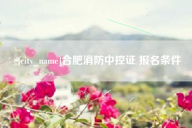 庄河合肥消防中控证 报名条件