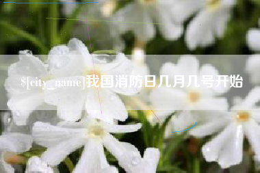 庄河我国消防日几月几号开始