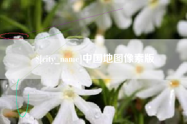 庄河中国地图像素版