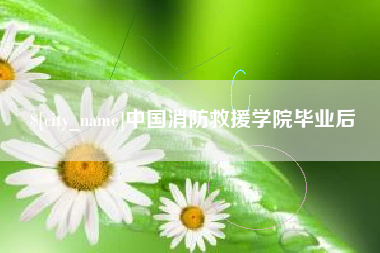庄河中国消防救援学院毕业后