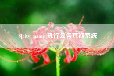 庄河执行公告查询系统