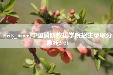 庄河中国消防救援学院招生录取分数线2021