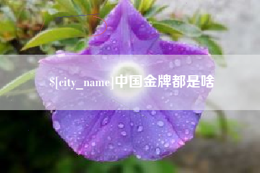 庄河中国金牌都是啥