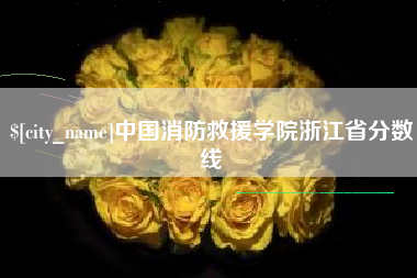 庄河中国消防救援学院浙江省分数线