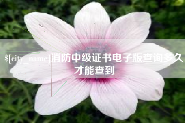 庄河消防中级证书电子版查询多久才能查到