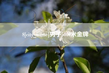 庄河男子5000米金牌