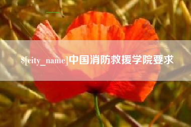 庄河中国消防救援学院要求