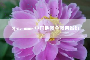 庄河中国地图全图带省份