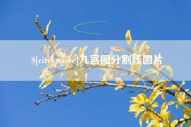 庄河九宫图分割线图片