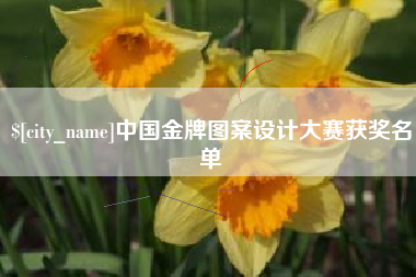 庄河中国金牌图案设计大赛获奖名单