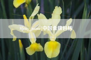 庄河中国金牌包括