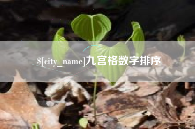 庄河九宫格数字排序