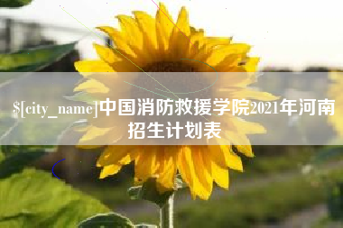庄河中国消防救援学院2021年河南招生计划表