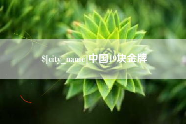 庄河中国19块金牌